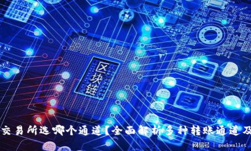 tpWallet转交易所选哪个通道？全面解析多种转账通道及其优劣对比