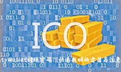 忘记tpWallet转账密码? 快速找回的方法与注意事项