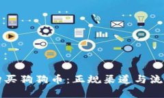 如何安全购买狗狗币：正规渠道与流行文化分析