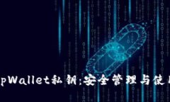 揭秘tpWallet私钥：安全管理与使用指南