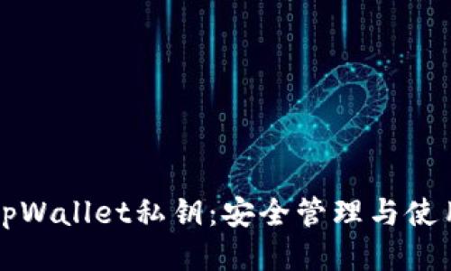 揭秘tpWallet私钥：安全管理与使用指南
