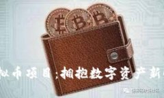 2023年最新虚拟币项目：拥