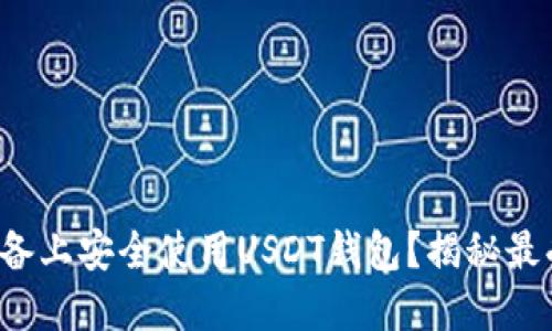 如何在苹果设备上安全使用USDT钱包？揭秘最受欢迎的选项！