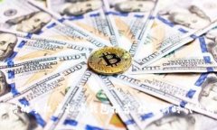 2023年最靠谱的手机虚拟币钱包推荐：数码新时代