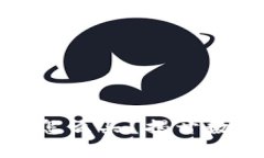 区块链钱包里的币怎么买？揭开数字货币的神秘