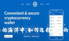 在数字货币的海洋中，如何选择适合的TNB钱包?