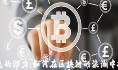 SOL币钱包的潜力：如何在