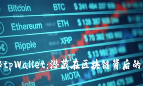 揭秘tpWallet：潜藏在区块链背后的骗局
