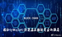 揭秘tpWallet：潜藏在区块链