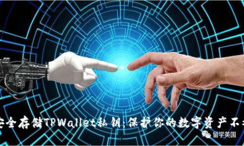 如何安全存储TPWallet私钥：保护你的数字资产不被盗取