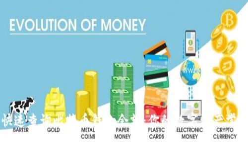 如何快速查询比特币钱包余额：你的数字资产掌控在手