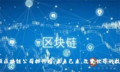 2023最强区块链公司排行榜：未来已来，改变世界