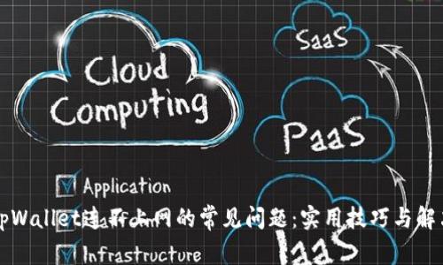 解决tpWallet连不上网的常见问题：实用技巧与解决方案