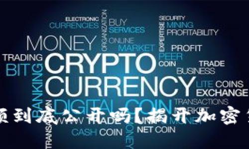 比特币钱包余额到底公开吗？揭开加密货币的隐秘面纱