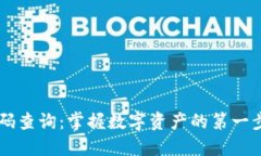 区块链钱包识别码查询：掌握数字资产的第一步