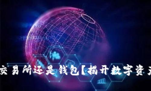 SHIB币：放在交易所还是钱包？揭开数字资产存储的秘密！