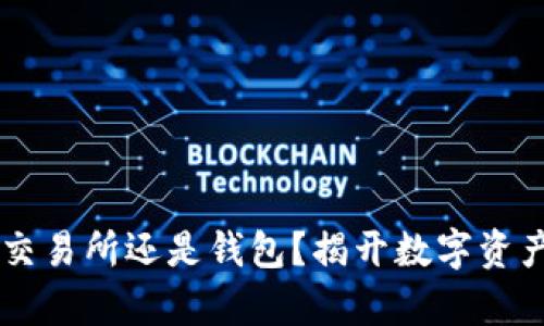 SHIB币：放在交易所还是钱包？揭开数字资产存储的秘密！