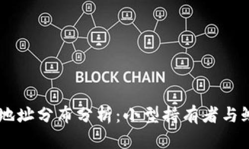 SHIB钱包地址分布分析：小型持有者与鲸鱼的博弈