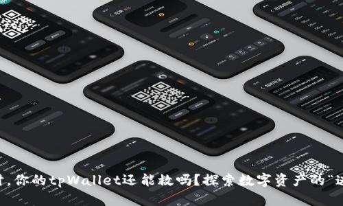 当私匙丢失时，你的tpWallet还能救吗？探索数字资产的“迷失”与“重生”