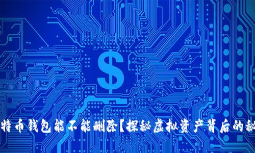 比特币钱包能不能删除？探秘虚拟资产背后的秘密