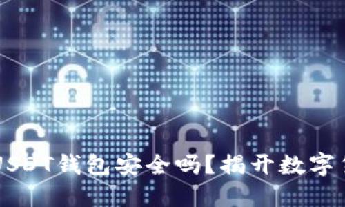 易币付虚拟币USDT钱包安全吗？揭开数字货币的神秘面纱