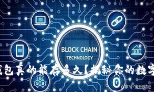 数字货币钱包真的能存多久？揭秘你的数字资产未来！