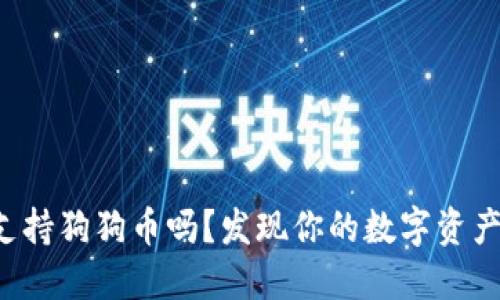 壹钱包支持狗狗币吗？发现你的数字资产新机遇！