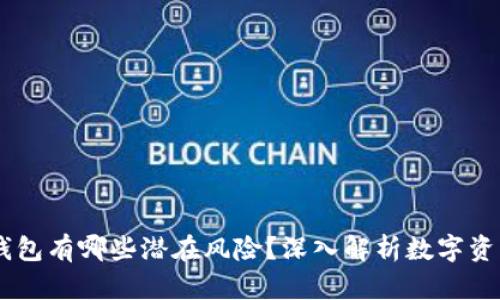 USDT钱包有哪些潜在风险？深入解析数字资产安全
