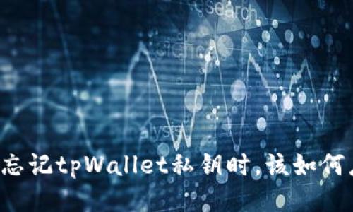 当你忘记tpWallet私钥时，该如何应对？