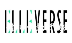 如何在钱包中创建USDT：从新手到高手的详尽指南