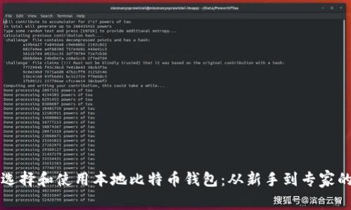 如何正确选择和使用本地比特币钱包：从新手到专家的完全指南