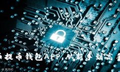 掌握虚拟货币提币钱包APP，从新手到高手的终极