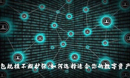 比特币钱包规模不断扩张：如何选择适合你的数字资产存储方案