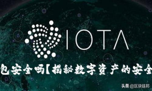 加密货币储蓄钱包安全吗？揭秘数字资产的安全真相与风险防范