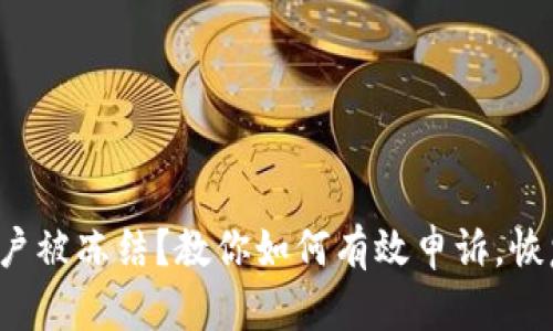 数字货币账户被冻结？教你如何有效申诉，恢复资金安全！
