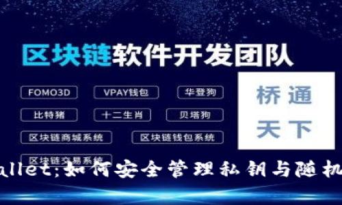 解密tpWallet：如何安全管理私钥与随机生成关键