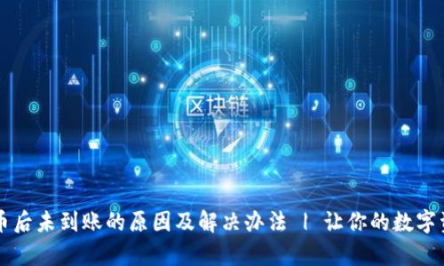 tpWallet买币后未到账的原因及解决办法 | 让你的数字资产安全无忧