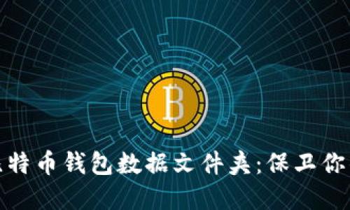 如何高效管理比特币钱包数据文件夹：保卫你的数字资产安全