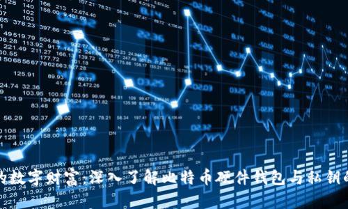 保护您的数字财富：深入了解比特币硬件钱包与私钥的安全性