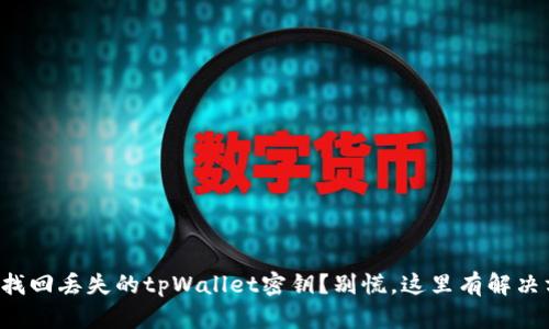 如何找回丢失的tpWallet密钥？别慌，这里有解决方案！