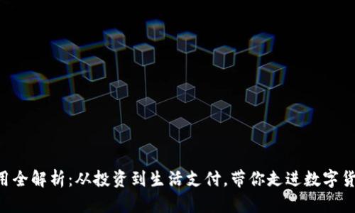 虚拟币应用全解析：从投资到生活支付，带你走进数字货币的世界！