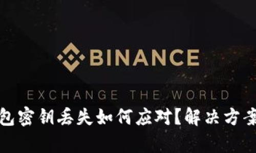 加密钱包密钥丢失如何应对？解决方案全解析