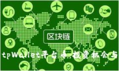 全面解析tpWallet平台币：投资机会与市场动态
