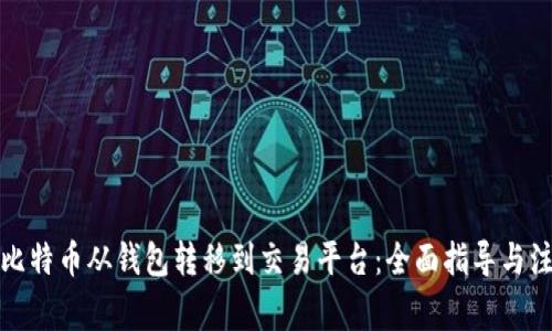 如何将比特币从钱包转移到交易平台：全面指导与注意事项