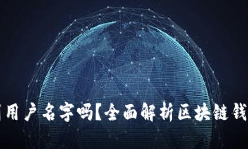 区块链钱包能查询到用户名字吗？全面解析区块链钱包的隐私性与安全性