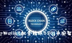 如何使用tpWallet批量转账BSC（币安智能链）资产