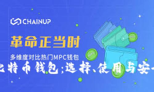 深入了解比特币钱包：选择、使用与安全性全指南