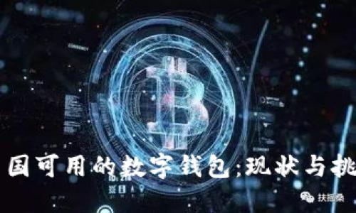 中国可用的数字钱包：现状与挑战