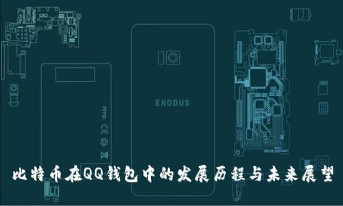 比特币在QQ钱包中的发展历程与未来展望