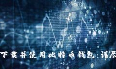 如何下载并使用比特币钱包：详尽指南